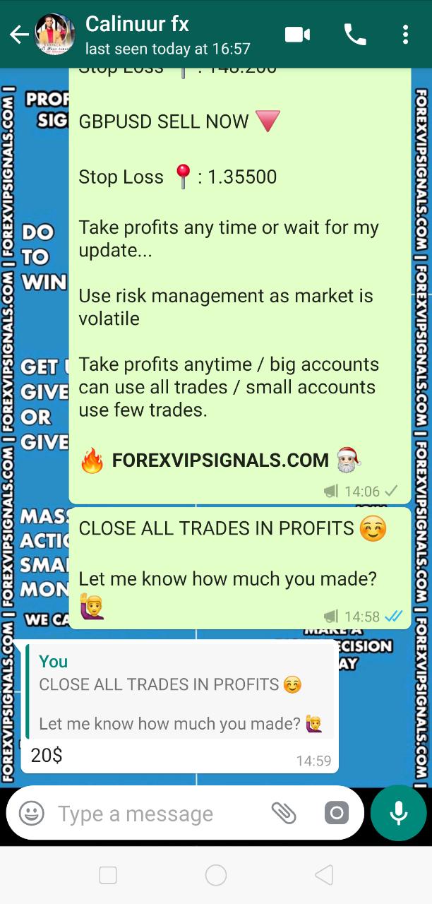 forexvipsignals.com review