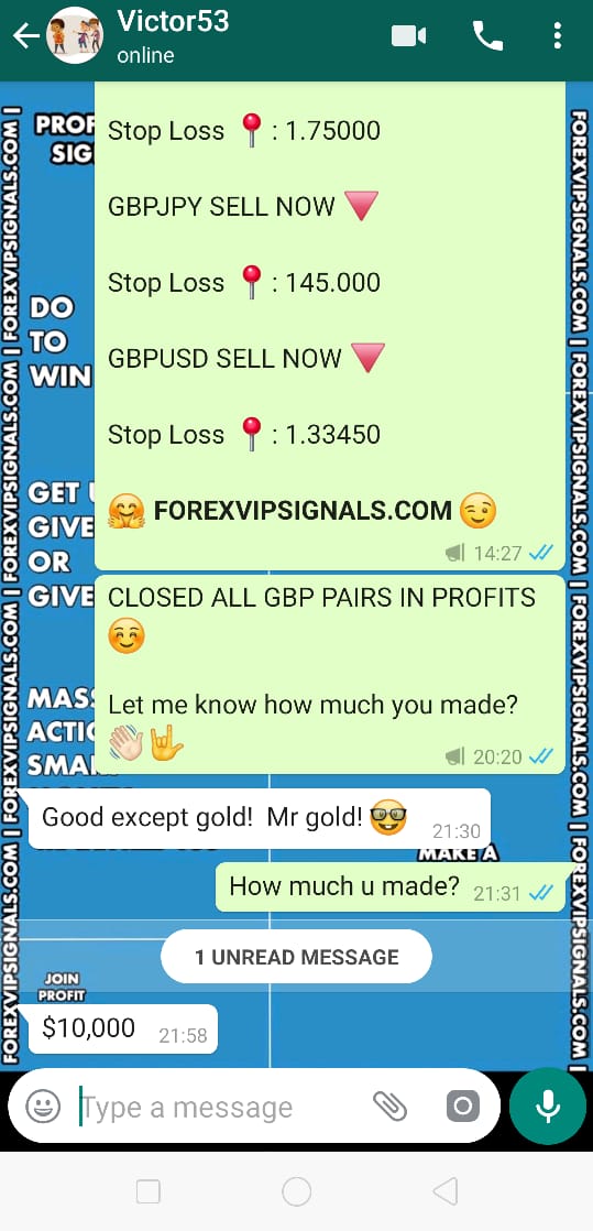 free vip forex signal