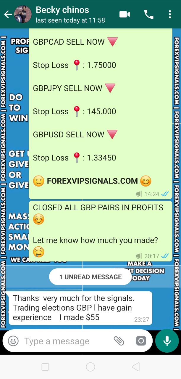 forexvipsignals.com