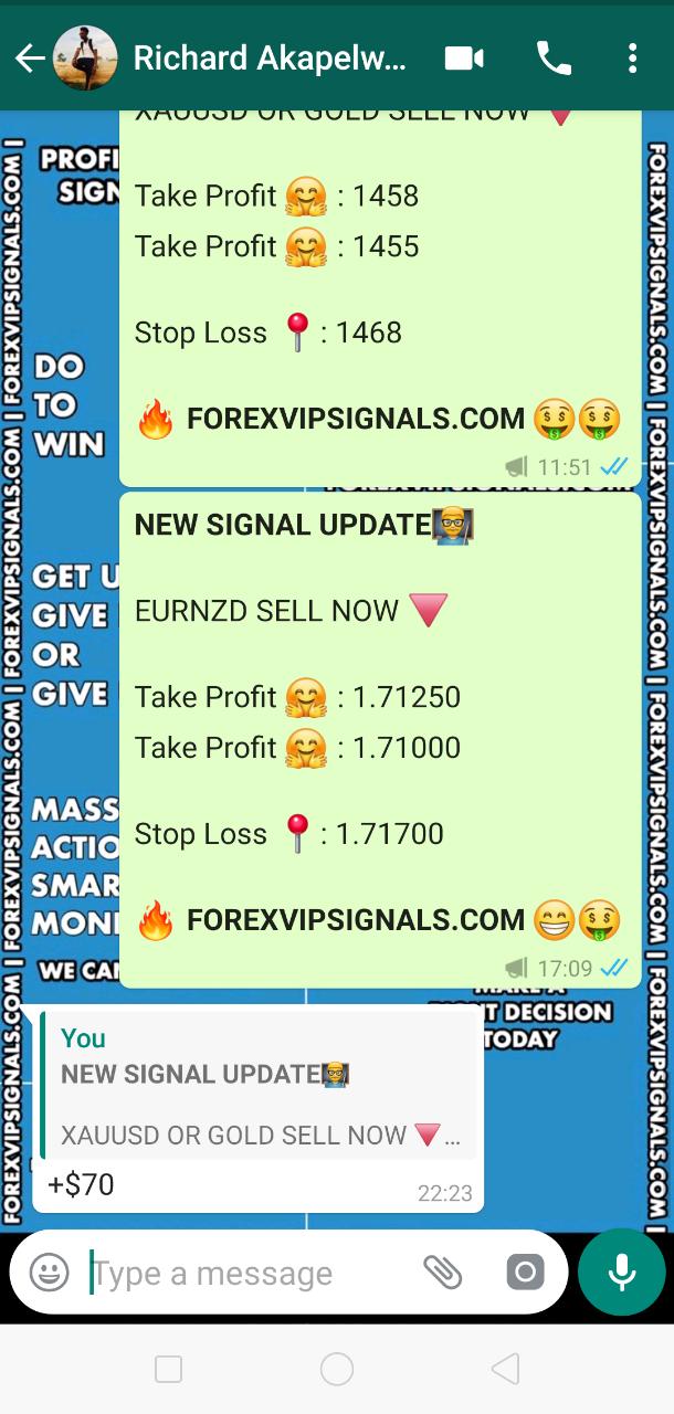 forex signals best performance