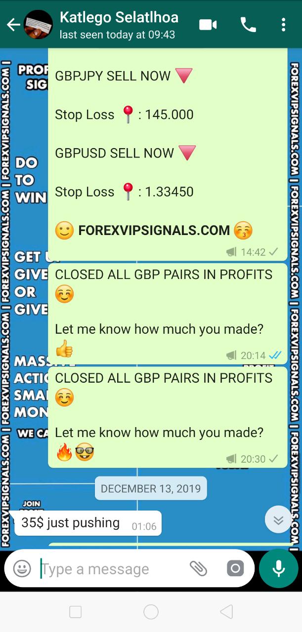 forex signals vip