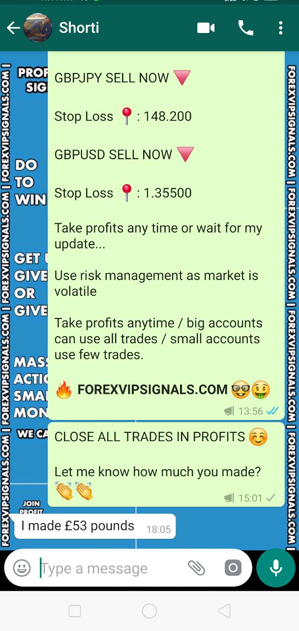 forex signals best performance