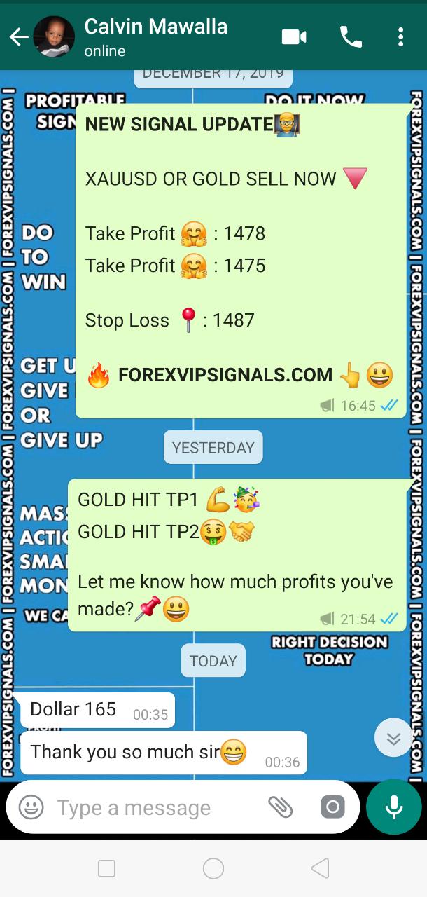 live forex signals review