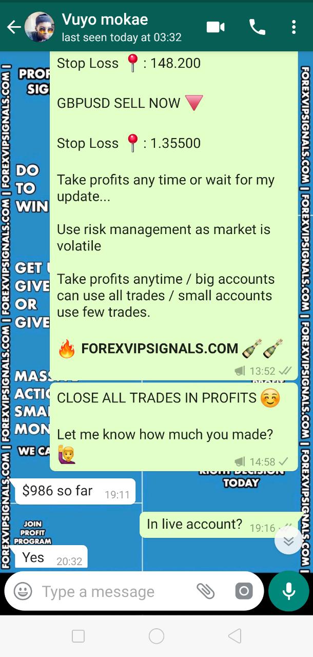 best forex signals 2019