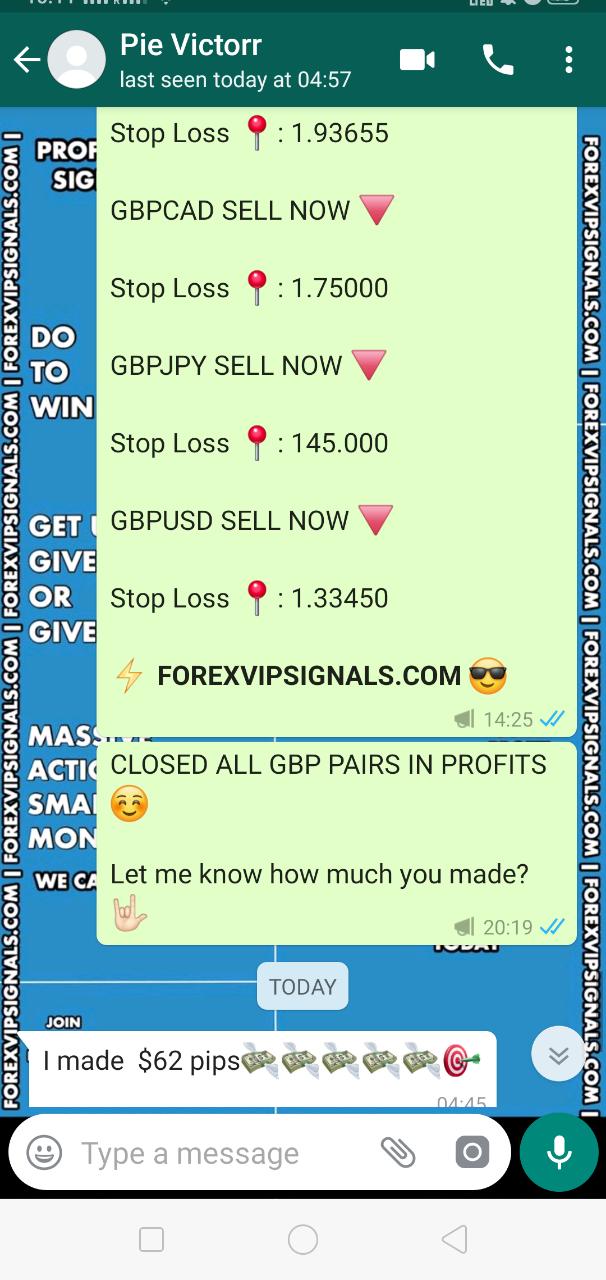 best forex signal providers