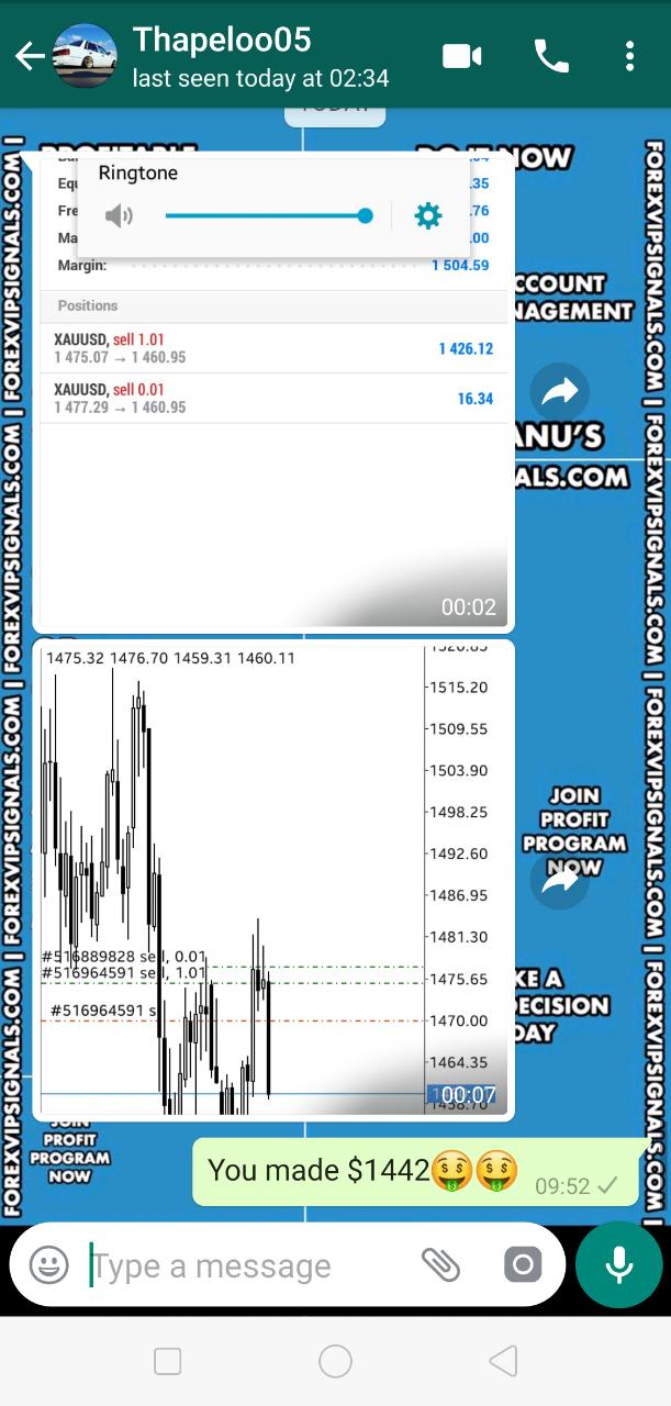 best forex signals