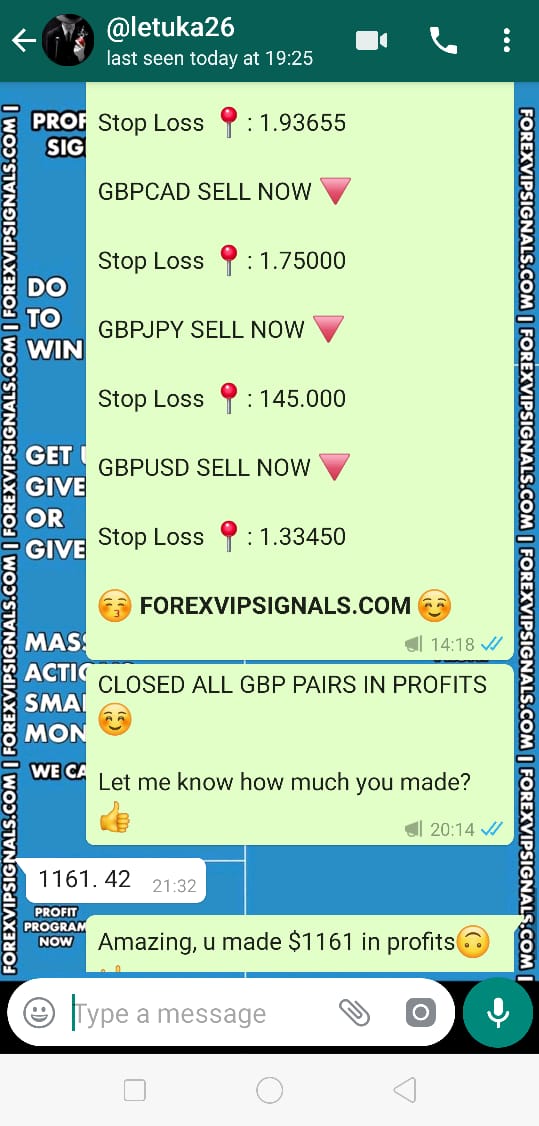 forex signals review