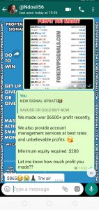 free vip forex signal