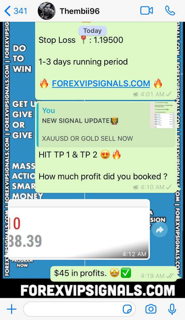 best forex vip signals telegram with forex vip signals