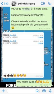 free vip forex signal by forex vip signals