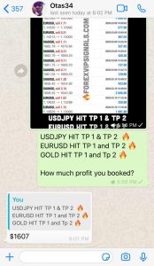 forex signals online by forex vip signals