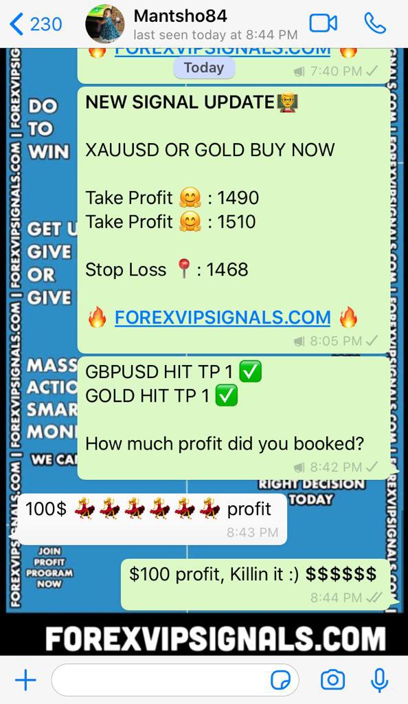 forexvipsignals.com review