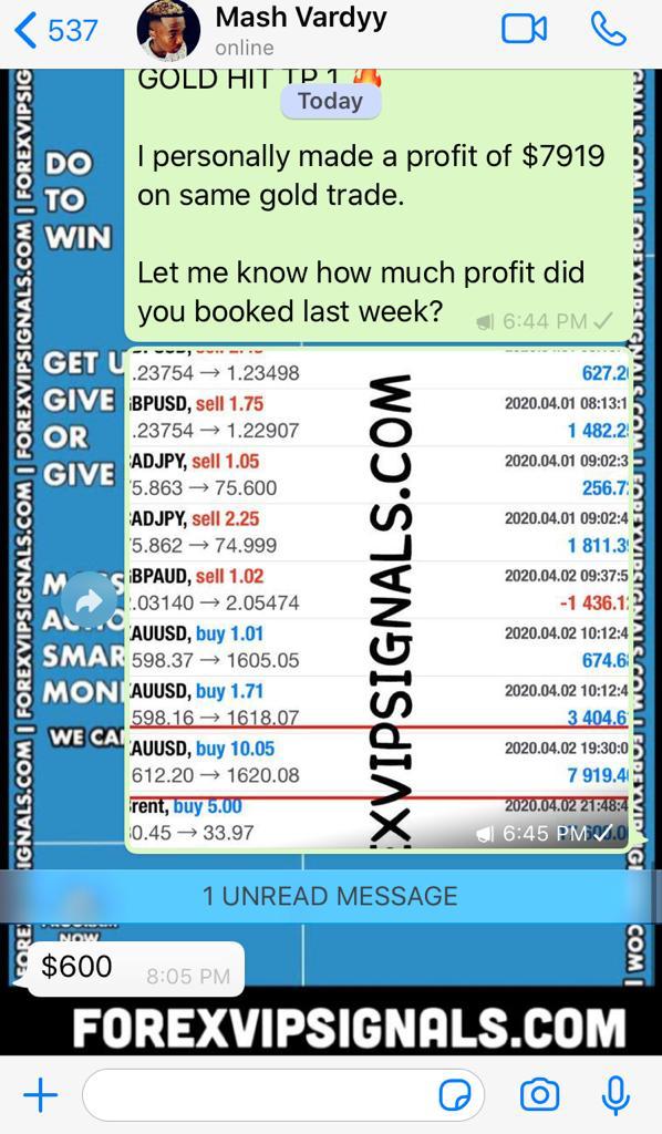 vip signal forex with forex vip signals