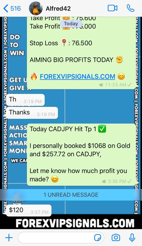 free forex signals live by forex vip signals