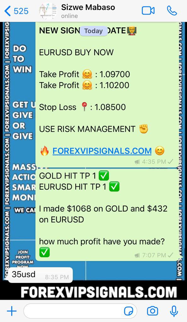 trading signal online by forex vip signals