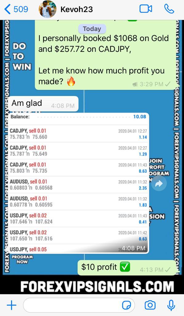 forex free signals by forex vip signals