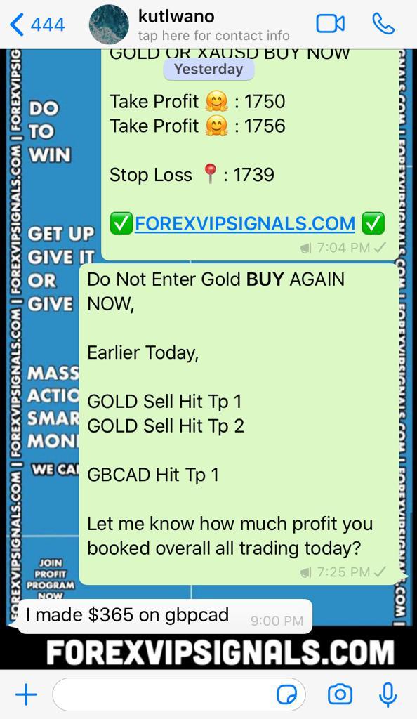 vip signal forex with forex vip signals