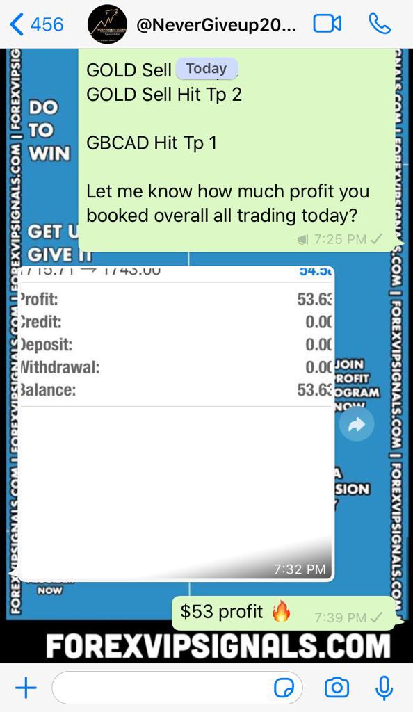 vip signal forex with forex vip signals