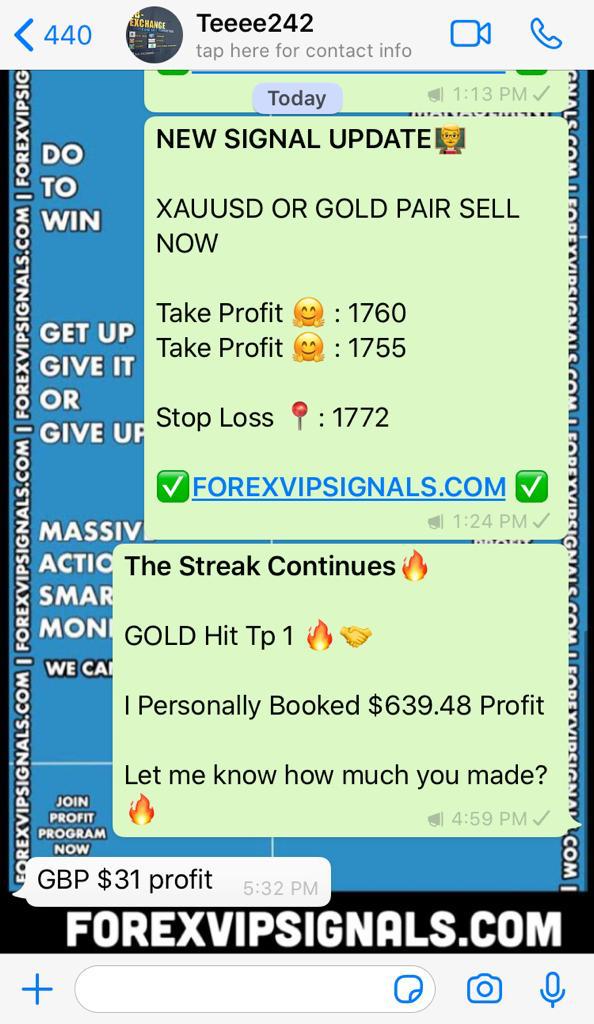 daily forex signals by forex vip signals