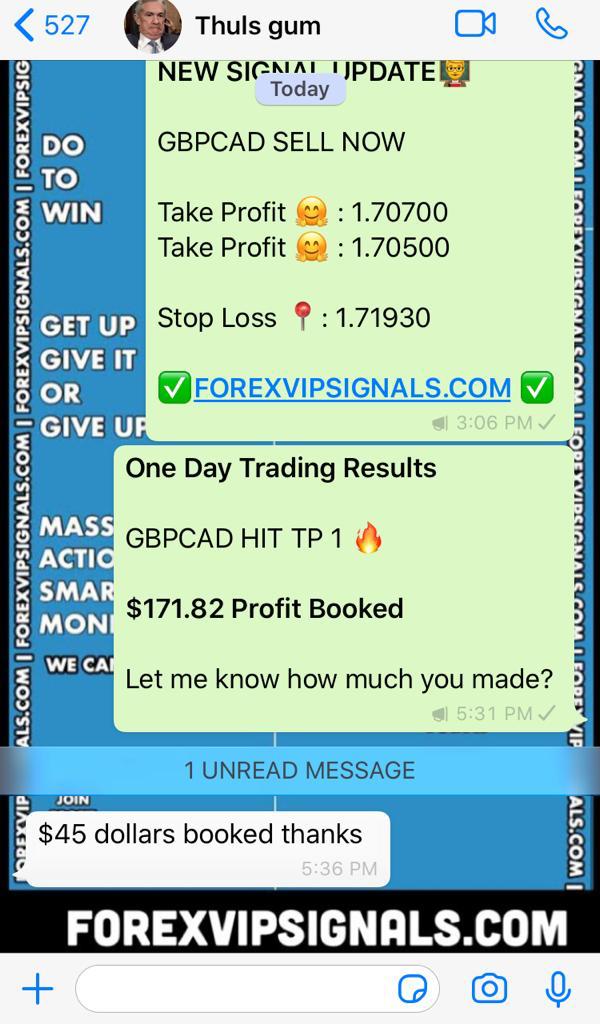 forex profit with forex vip signals