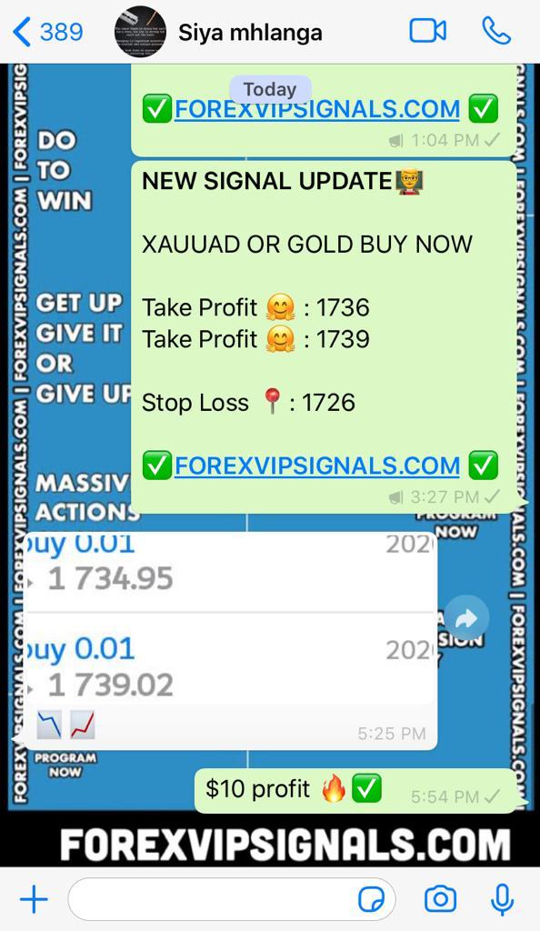 forex signals profit with forex vip signals