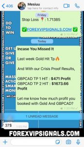 fx profit signals by forex vip signals