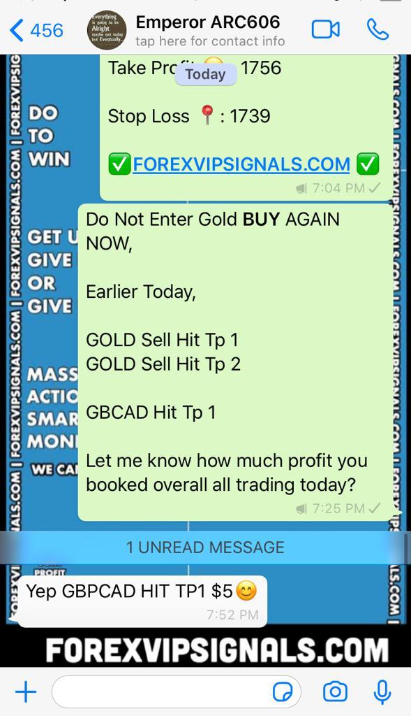 forex signals profit with forex vip signals