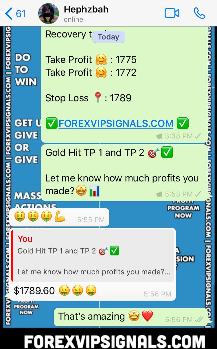 accurate signal with forex vip signals