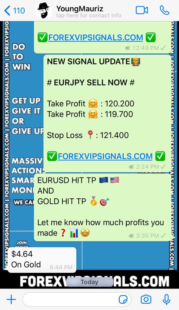 daily forex signals by forex vip signals
