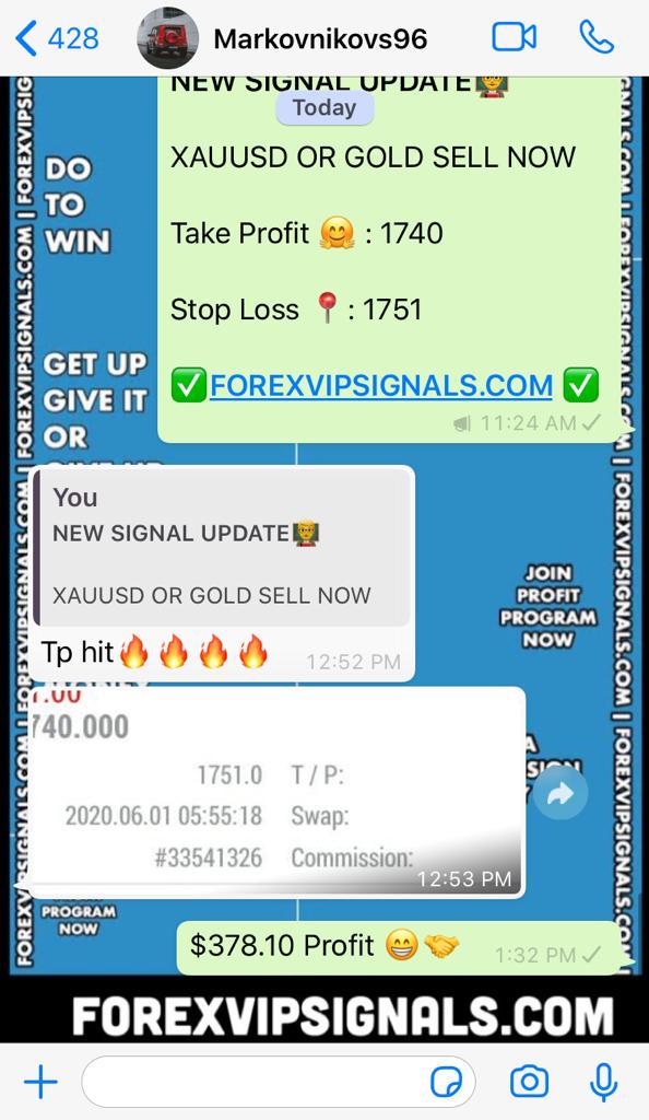 profitable forex signals by forex vip signals