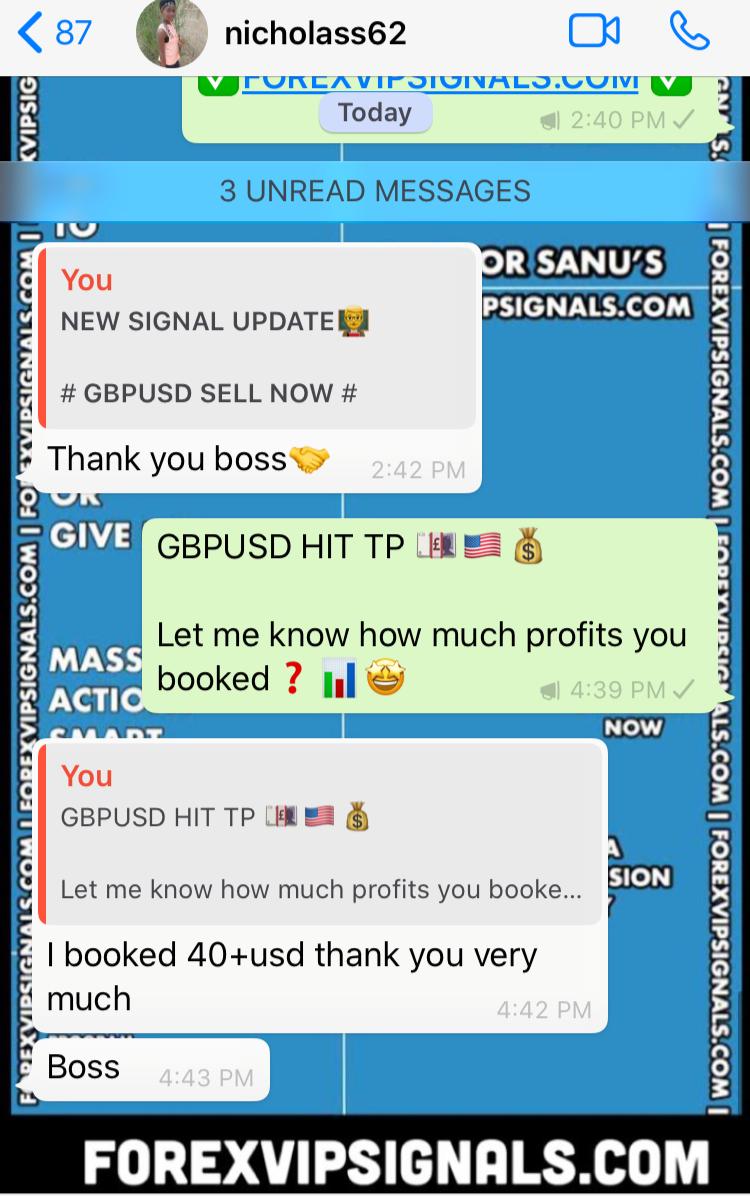 daily signal live with forex vip signals