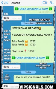 daily trading signal by forex vip signals