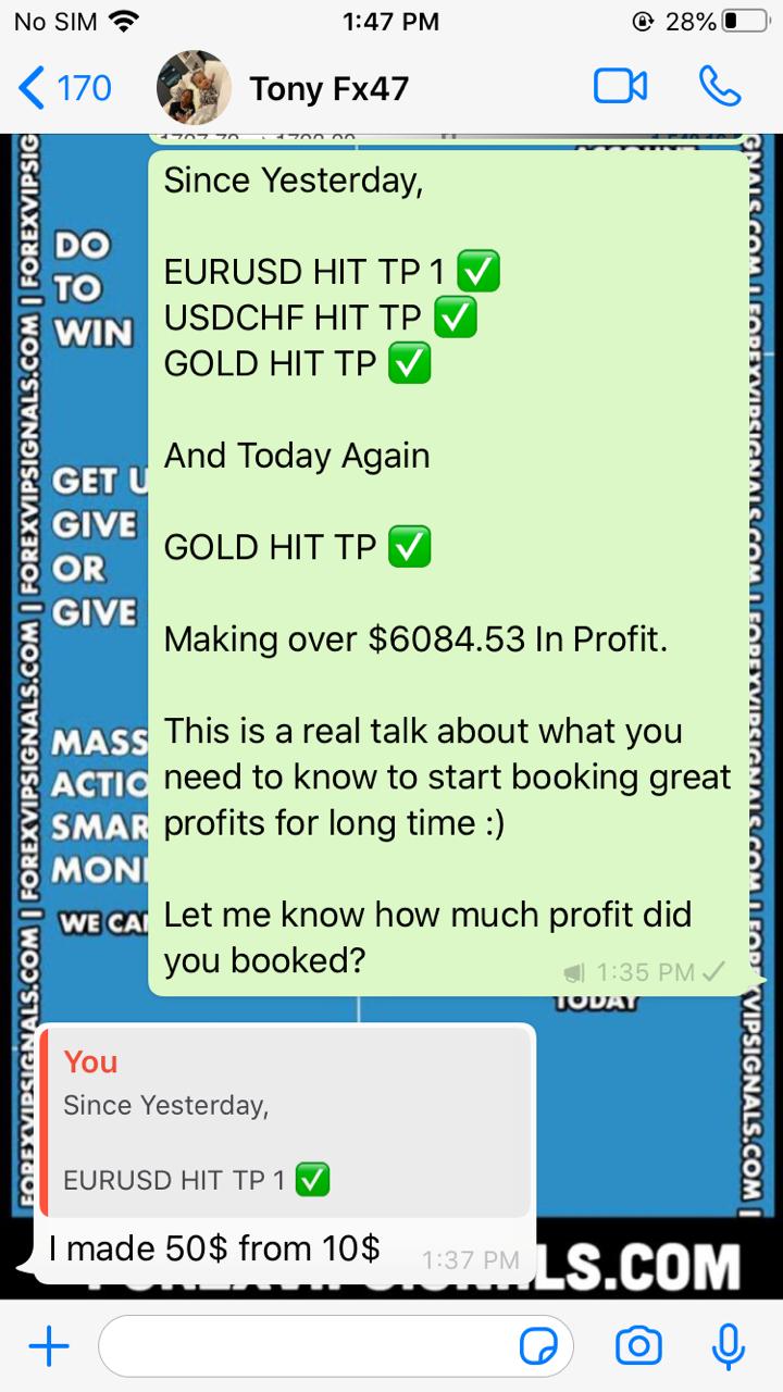 forex profit pro with forex vip signals