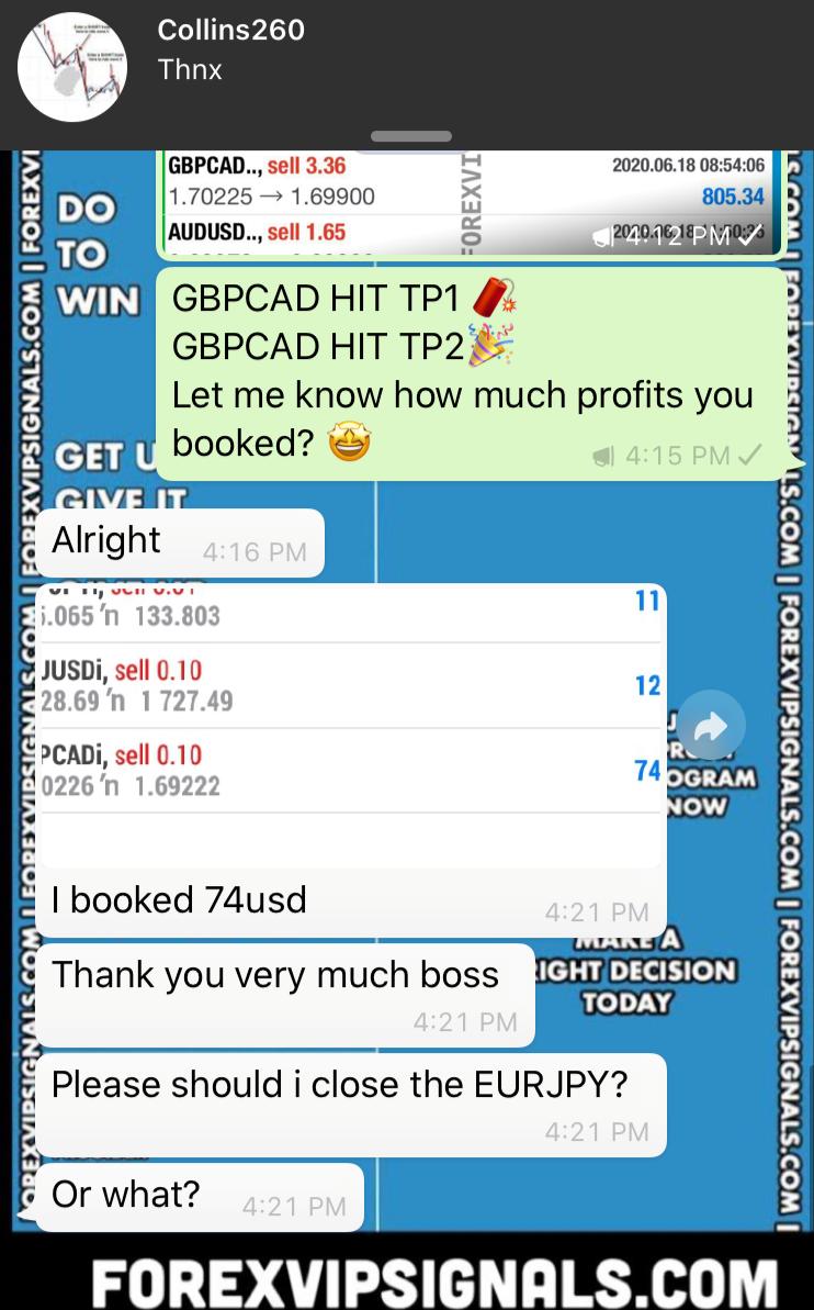 affordable forex signals by forex vip signals