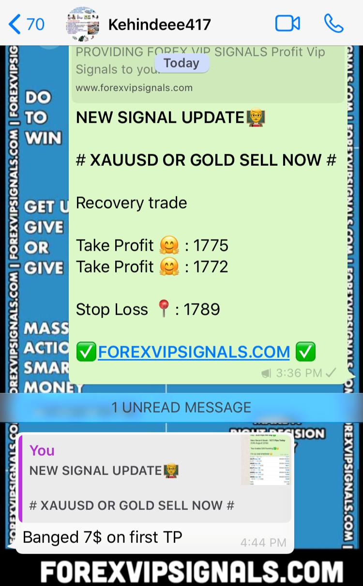 honest daily signals by forex vip signals