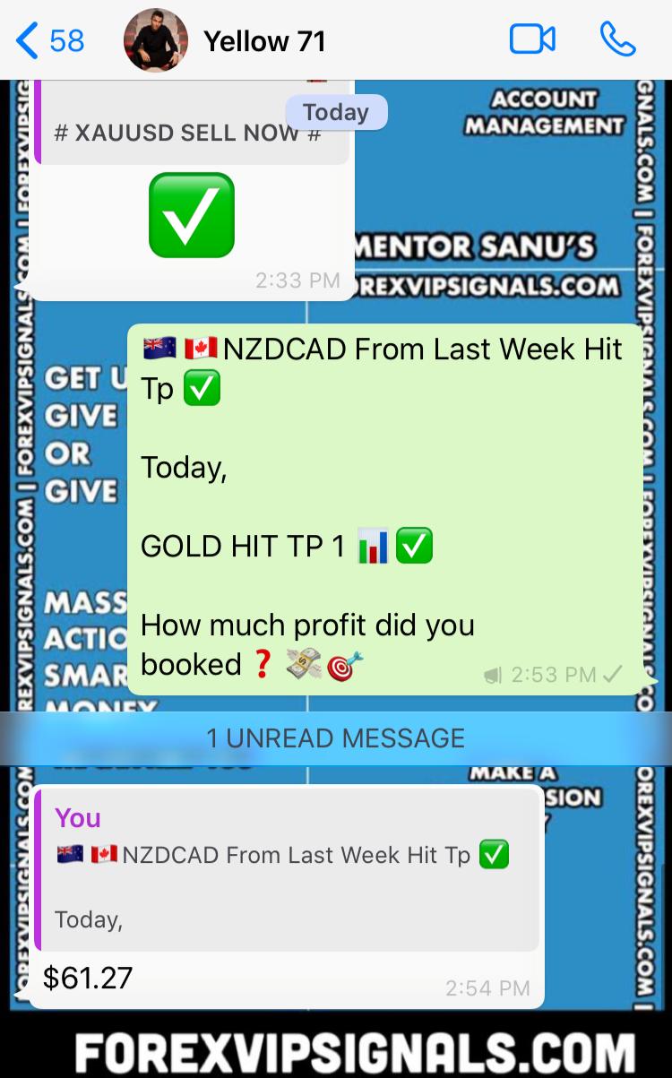 live daily signals by forex vip signals