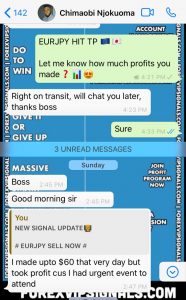 most accurate forex signals by forex vip signals