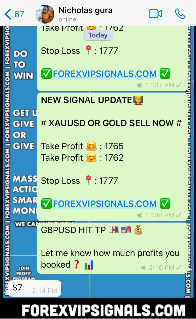 online live forex signals with forex vip signals