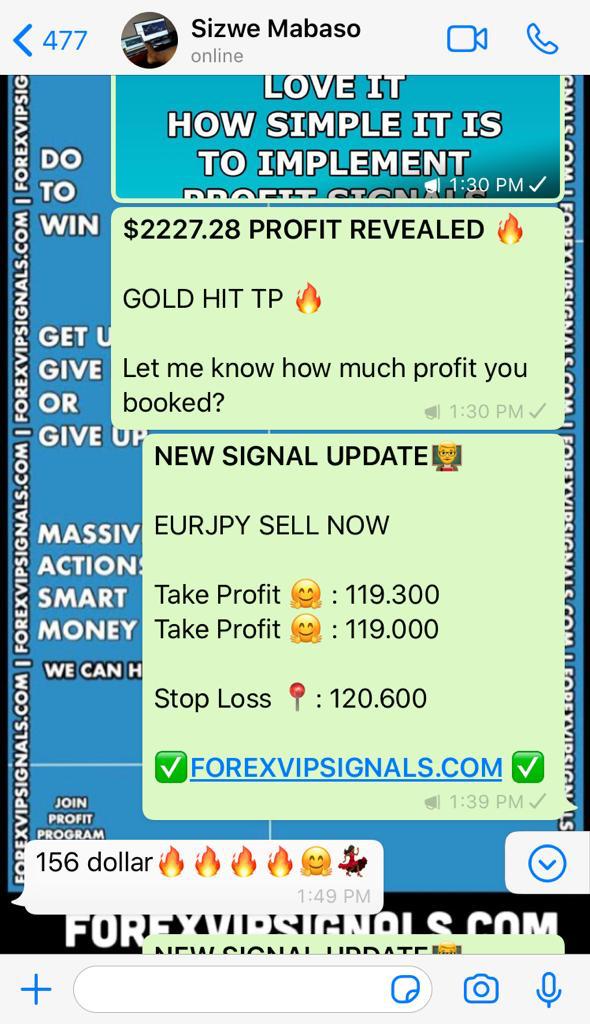 forex signals by forex vip signals