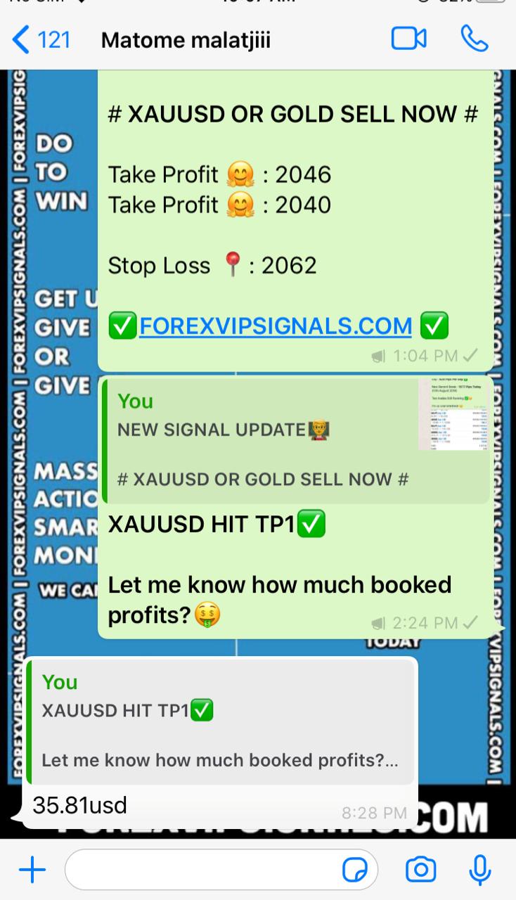 accurate signals for forex trading by forex vip signals