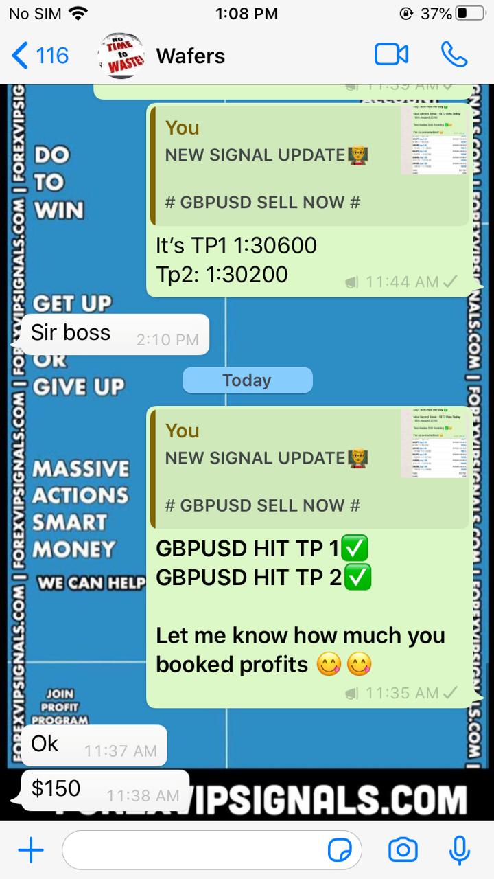 daily forex signals by forex vip signals