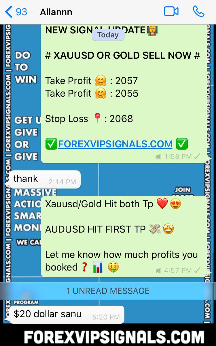 daily forex signals with forex vip signals