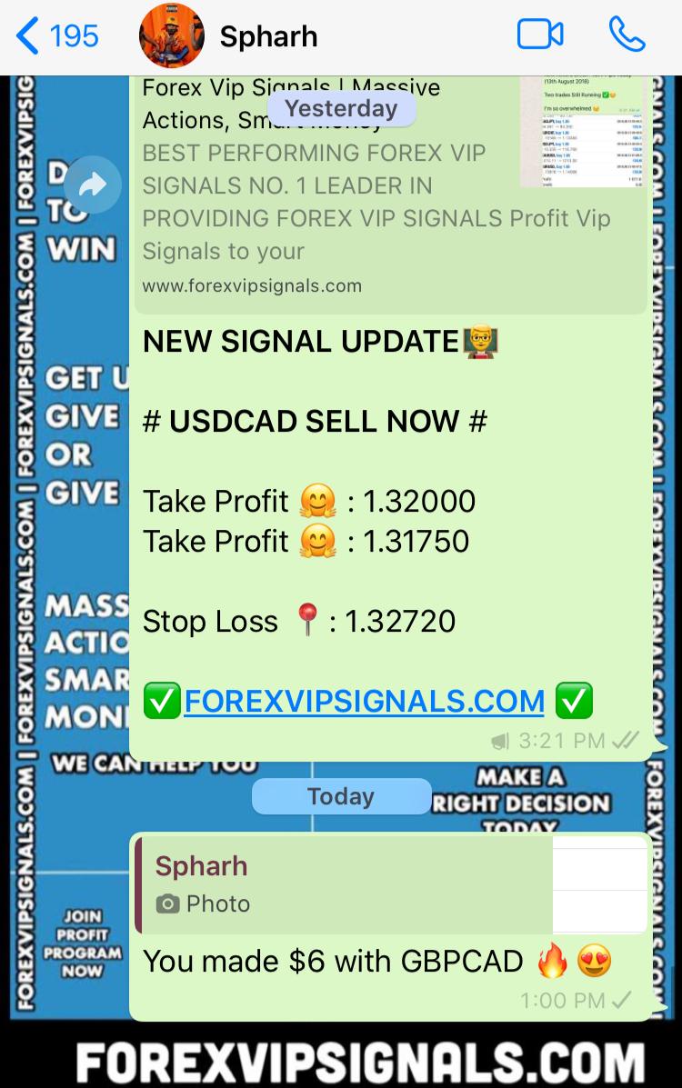 daily free forex signals with forex vip signals