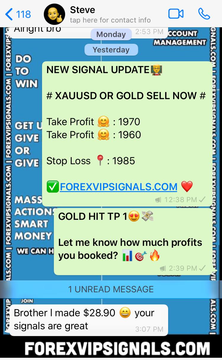 forex signals best performance by forex vip signals