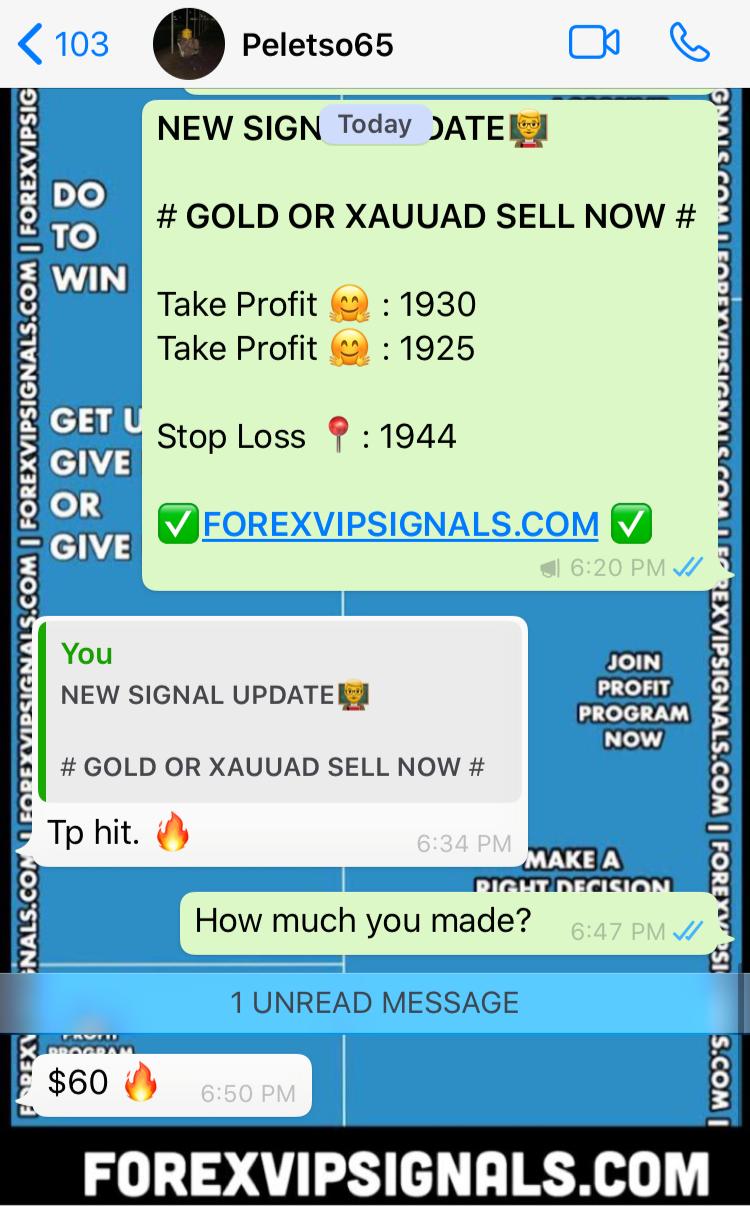 accurate forex signals free by forex vip signals