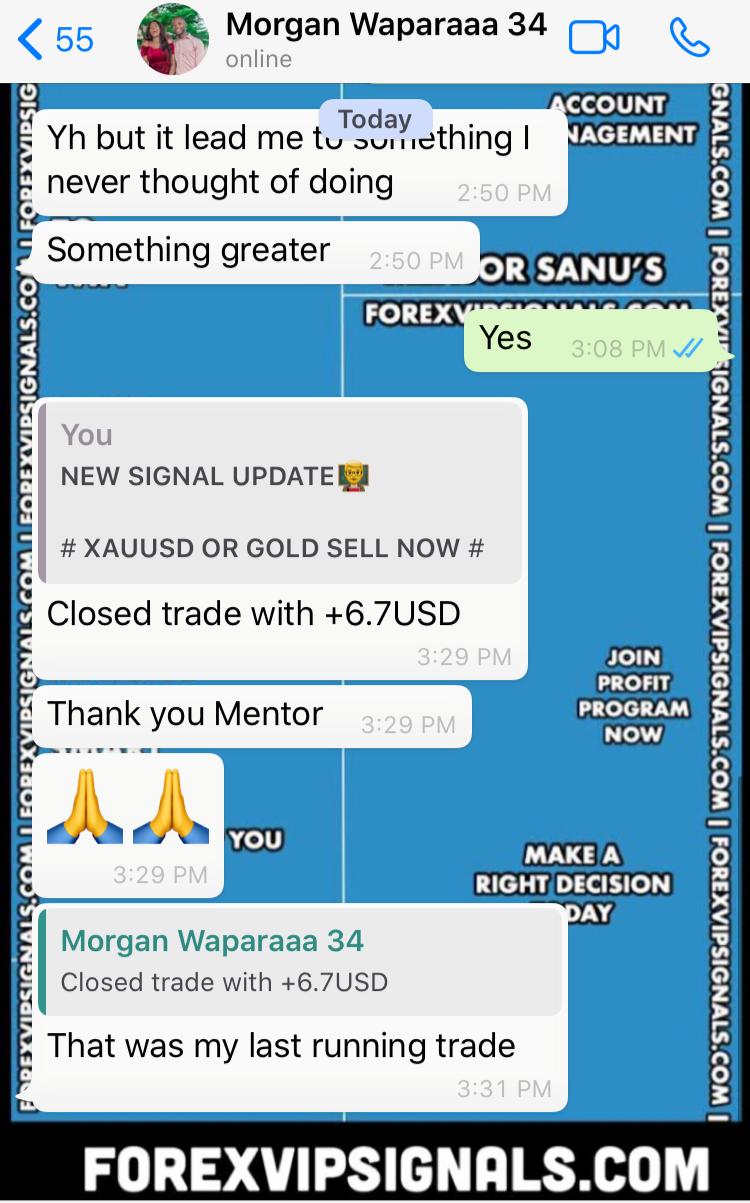 live daily signals by forex vip signals