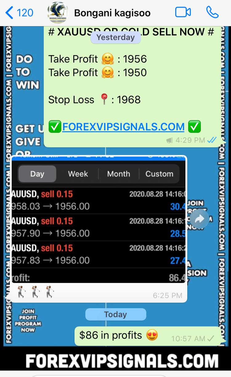 accurate forex signals free live with forex vip signals