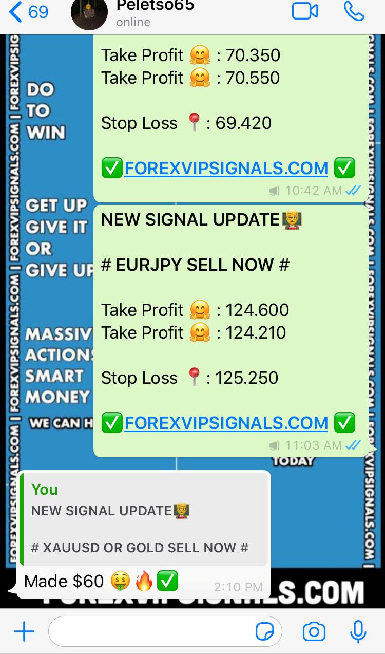 fx signals by forex vip signals