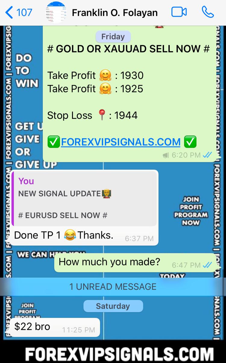 daily forex signals by forex vip signals