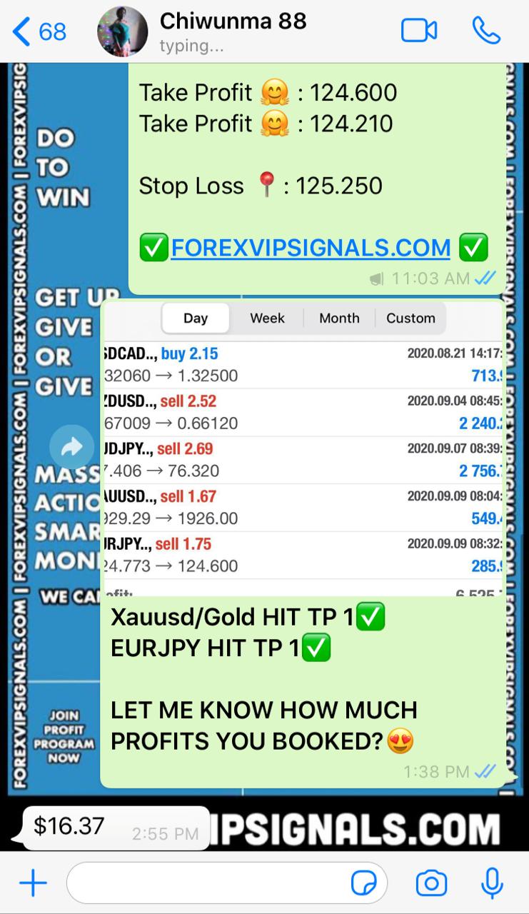 daily forex signals by forex vip signals